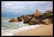 nature/06/_mg_8339x.jpg