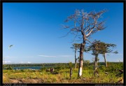 nature/08/_mg_6534x.jpg
