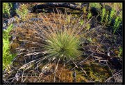 nature/08/_mg_6541x.jpg