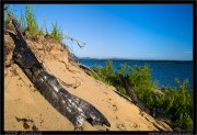 nature/08/_mg_6558x.jpg