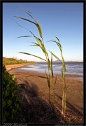 nature/08/_mg_6562x.jpg