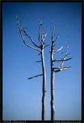 nature/08/_mg_6713x.jpg