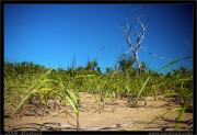 nature/08/_mg_6714x.jpg