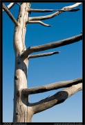 nature/08/_mg_6740x.jpg