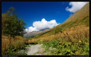 nature/10/_mg_2125-6x.jpg