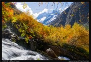 nature/10/_mg_2171x.jpg