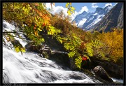 nature/10/_mg_2175xx.jpg