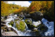 nature/10/_mg_2182x.jpg