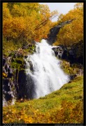 nature/10/_mg_2184x.jpg