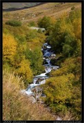 nature/10/_mg_2273x.jpg