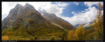 nature/10/_mg_2283-5x.jpg