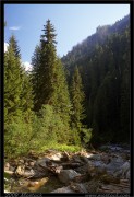 nature/11/_mg_1263x.jpg