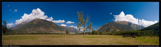 nature/12/_mg_2310-14x.jpg