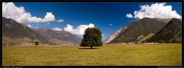nature/12/_mg_2320-2x.jpg