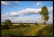 nature/13/_mg_7368x.jpg