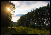 nature/13/_mg_7375x.jpg