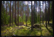 _mg_4168x_t.jpg
