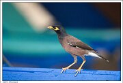 _mg_3153x.htm