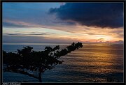 _mg_3287x.htm