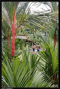 _mg_3741x.htm