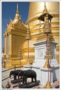 _mg_3926x.htm