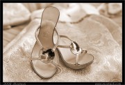 wedding/07/crw_0002x.htm