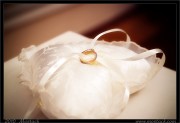 wedding/12/img_2367x.htm